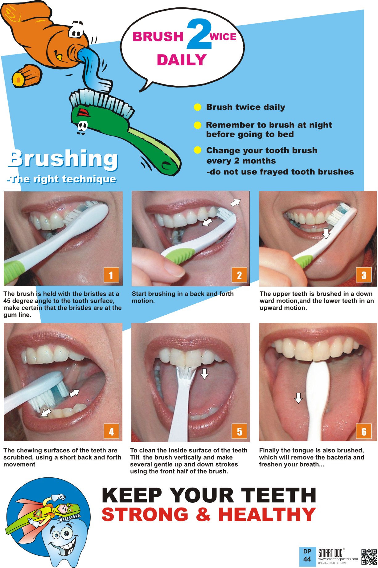 Brush 2wice daily –Brushing technique (Eng.) DP-44 E. | Smart Doc Posters